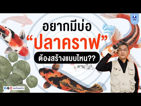 อยากมีบ่อปลาคราฟ ต้องสร้างบ่อแบบไหน