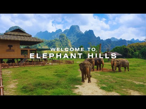 Explore Thailand - Elephant Hills Jungle Safari