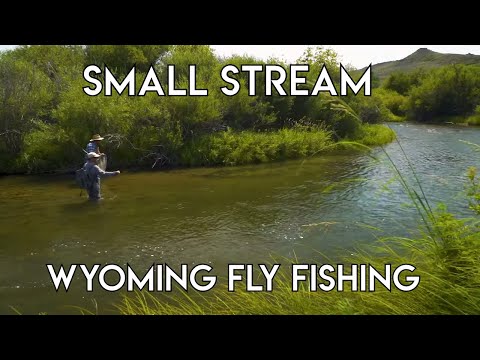 Small Stream Fly Fishing | Sheridan Wyoming