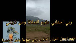 ربي اجعلني مقيم الصلاة ومن ذريتي #قران_كريم #قرآن #اكسبلور #quran #القرآن_الكريم #youtube #ytshorts