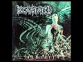Decapitated - Symmetry Of Zero HQ