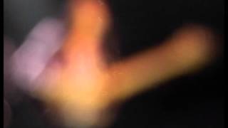 Positively Animal Live at Silver Elephant (2005)