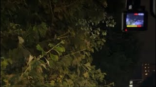 札幌夜景を見に行こう！