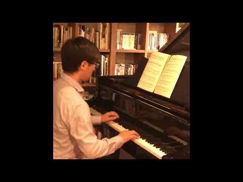 “Variation Etude” by Yoshinao NAKADA. take2: A Japanese beautiful Piano piece.