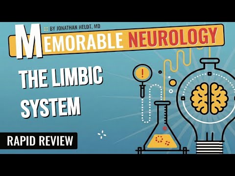Limbic System Mnemonics (Memorable Neurology Lecture 2)