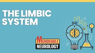 Limbic System Mnemonics (Memorable Neurology Lecture 2)
