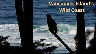 Pacific Rim National Park: 6 Unforgettable Stops on Vancouver Island