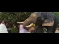 Malayalam Song Melekkavin Title Song Gajarajamanthram Malayalam Film Song