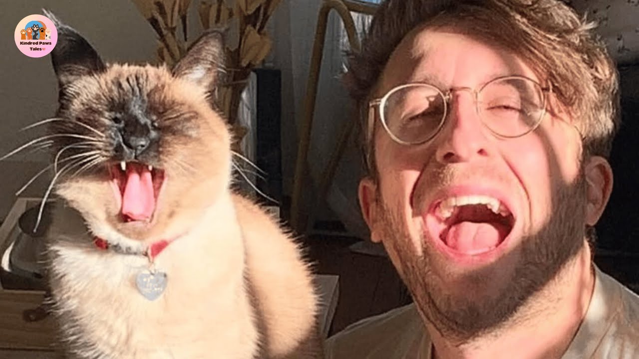 Meet the Funniest Cat Ever – His Antics Will Crack You Up!