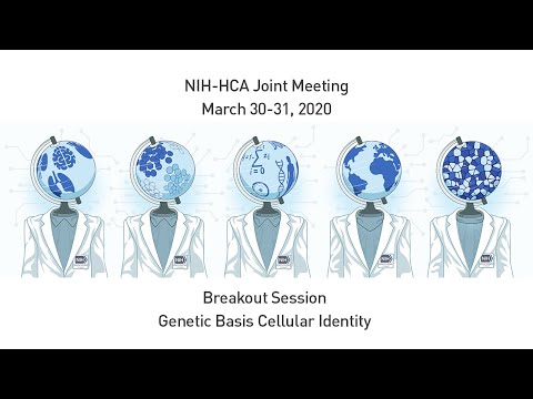 NIH-HCA 2020 Joint Meeting: Breakout Session - Genetic Basis Cellular Identity