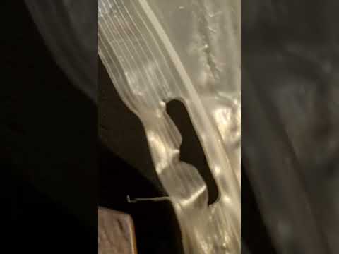 WALTHER GSP500 RAPID FIRE