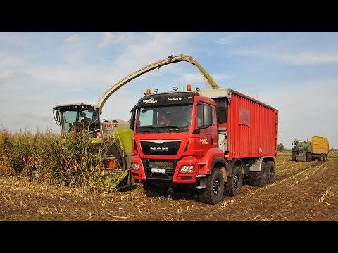 Claas Jaguar 980 & M.A.N TGS41.480 + Fliegl - Loonbedrijf Neyt - mais 2014