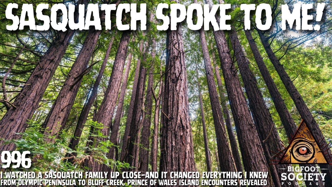 Logger Encounters Sasquatch on the Olympic Peninsula and Realizes They Are Intelligent | Archives