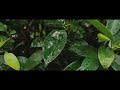 Alone Movie Frame