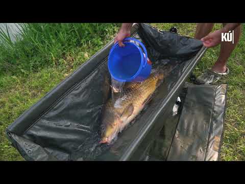 Elnevezhetik a halakat a horgászok videó