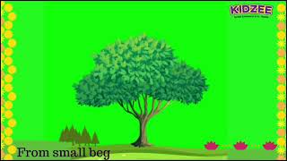 Kidzee Video