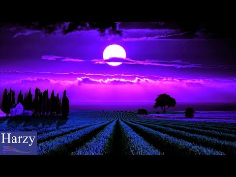 Mountkid - Dino (NCS Release) [1 Hour Version]