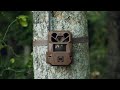 Moultrie® EDGE 3 Cellular Trail Camera