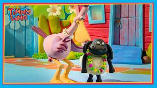 NO MORE BAA-D MOODS, TIMMY! 🐑💢 | Timmy & Friends