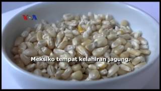 Download lagu Inovasi Teknologi Mendekatkan Konsumen ke Petani - Laporan VOA 20 April 2016 mp3