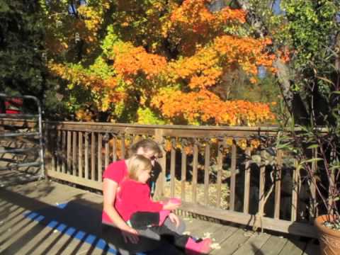 download lagu mp3 mp4 Yoga To James Taylor, download mp3 Yoga To James Taylor free download mp3, download mp3 Yoga To James Taylor
