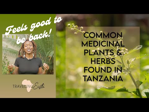 , title : 'I'm BACK! | Common Medicinal Plants & Herbs Found In Tanzania'