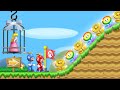 New Super Mario Bros Wii: Rescue The Princess 2 Player 