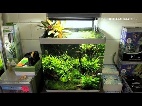 Aquascaping - Aquarium Ideas from Aquatics Live 2011, part 2