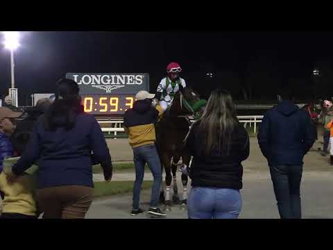 230728 c06 MANDINGA LC