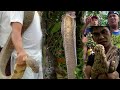 MAS MABAGSIK NA JUMBO KING COBRA PART 2
