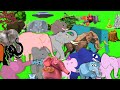 Animal Stampede Part 3 Elephant Stampede Green Screen Elephant Version Mammoth Run