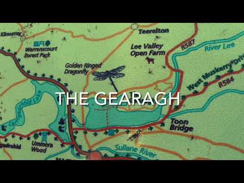 River Lee Series - Exploring The Gearagh, Co. Cork