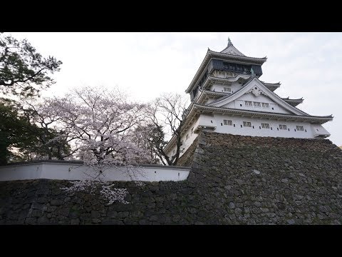 Pierwszy vlog! Zamek i sakura z przyjacielem [Japonia z Ignacym #1]