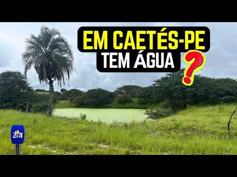 ÁGUA DE POÇO EM CAETÉS-PE COMO SÃO #chacara
