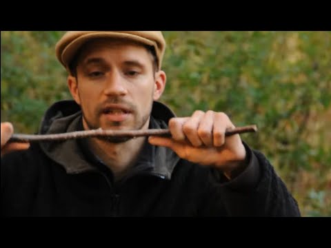 Der Grashüpfer - Tapete (Official Street Video HD)