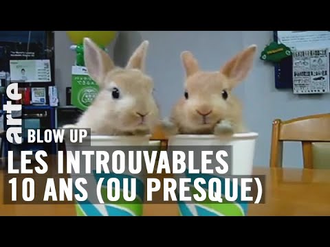 10 ans d’introuvables (ou presque) - Blow Up - ARTE