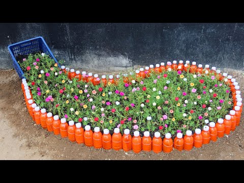 Amazing ideas for Making Flower Pot Recycling plastic Bottles into flower Pot