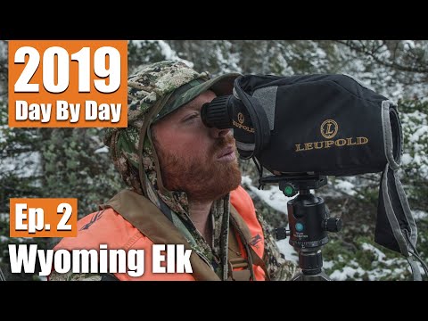Glassed A HUGE Bull and Grizzly | 2019 Wyoming Elk (Ep. 2)