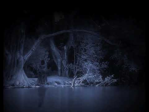 Odessa Chen : Kill The Lights