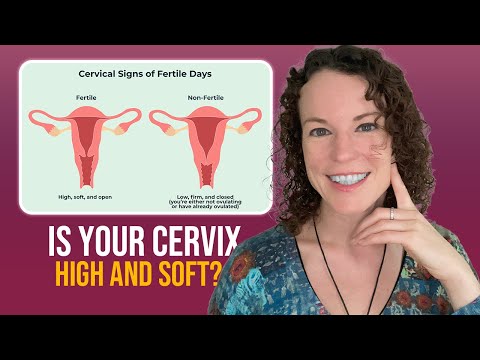 How to Check Your Cervix for Signs of Pregnancy