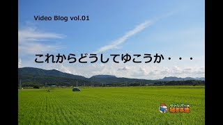 ブログ動画はじめました