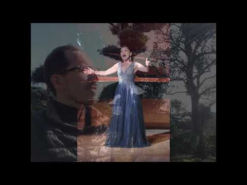 immagine di anteprima del video: Hugo Wolf - Mignon