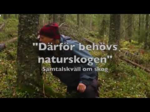 Därför behövs naturskogen #3: Sebastian Kirppu