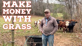 TRIPLE Your Investment & Improve Your Pasture - The Magic Of Cattle