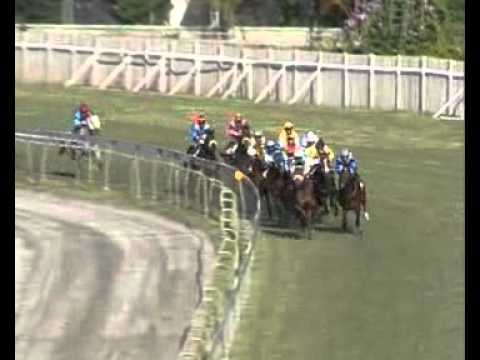 Season 2012 - Meeting 14 - Race 7 - How Many To Won - R. Joorawon - iDates.mu - Turf Mauritius