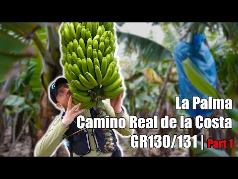 La Palma GR130/131 Camino Real de la Costa | Part 1