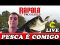 Rapala Fishing: Pro Series :: Nintendo Switch Pesca Gos