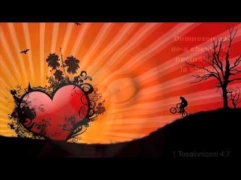 Pazeste-ti inima de Alyn Turcu