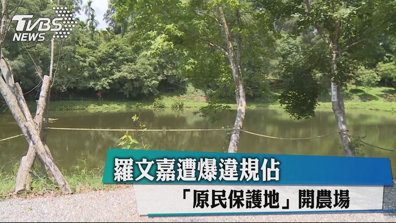 羅文嘉遭爆 違規佔「原民保護地」開農場