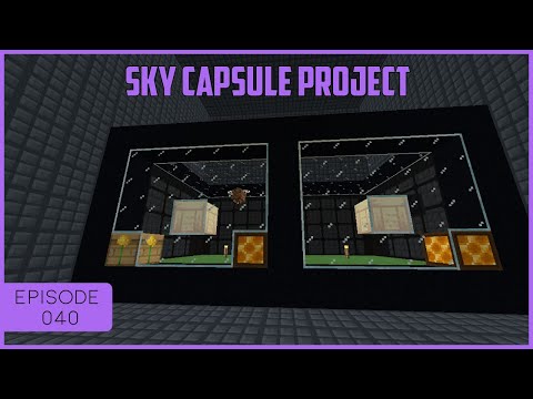 Sky Capsule Project EP 40 - All The Bee Breeding